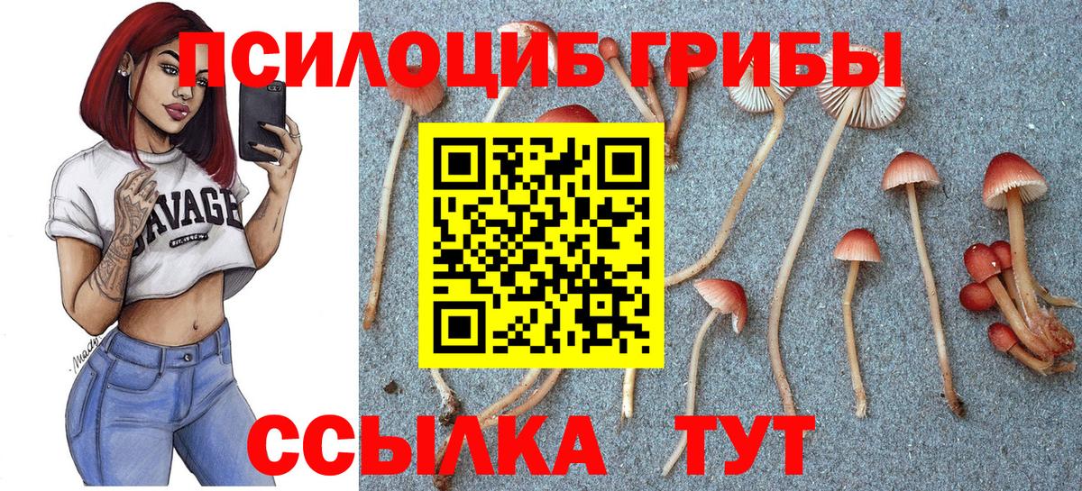 Псилоцибиновые грибы прущие грибы  Галлюциногенные грибы MAGIC MUSHROOMS  Вход с VPN  Курчалой 