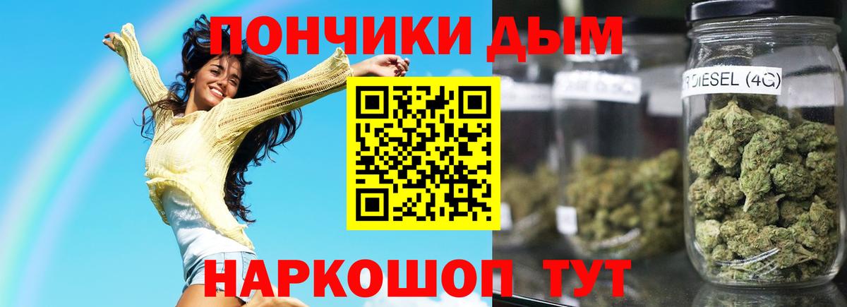 Канабис конопля Курчалой